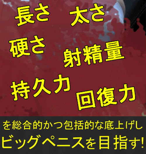 アントボムを実際に飲んで、いざ増大チャレンジ！