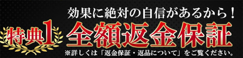 ルプスLX(lupus LX)はセットで返金保証が付く