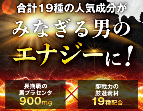 殿下の砲塔の具体的な効果と成分