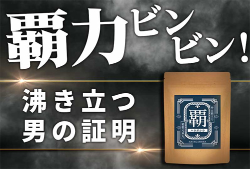 覇-ハタガシラ-を飲んでみた体験談