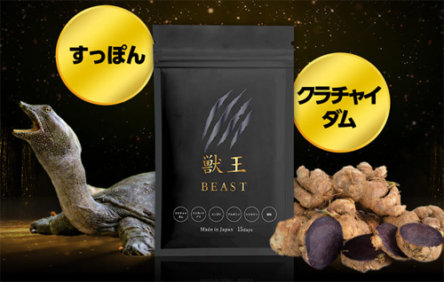 獣王ビースト(beast)サプリの特徴を調べた